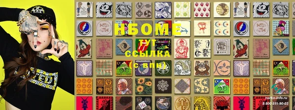 стаф Каменск-Шахтинский