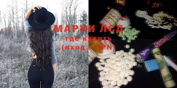 apvp Каменка