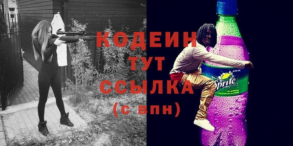 apvp Каменка