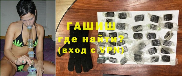 apvp Каменка