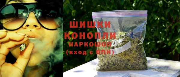apvp Каменка