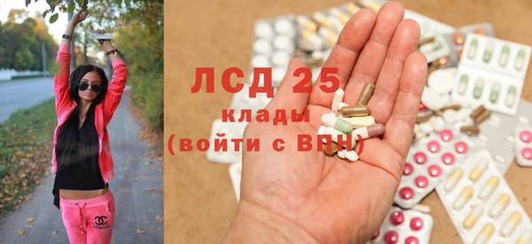 apvp Каменка